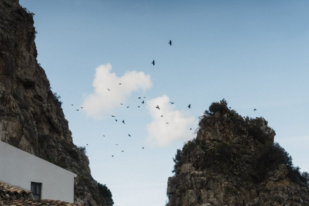 Möven fliegen an den Klippen bei einer freien Trauung bei Tonnara Di Scopello Sizilien