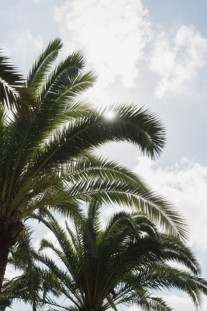 Mallorca Hochzeit Finca Predio Son Serra