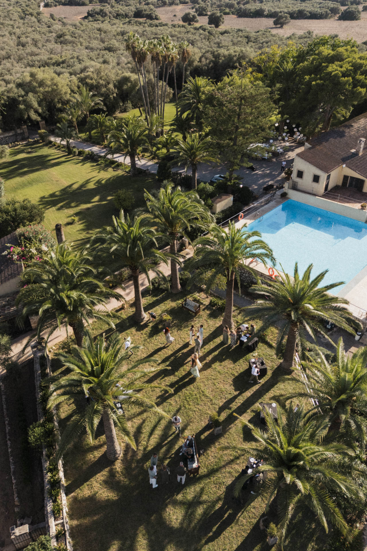 Sektempfang bei Hochzeit in der Finca Predio Son Serra Mallorca