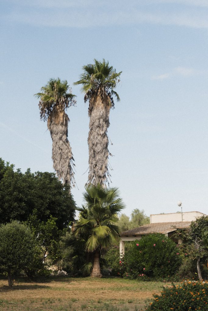 Finca Hotel Predio Son Serra